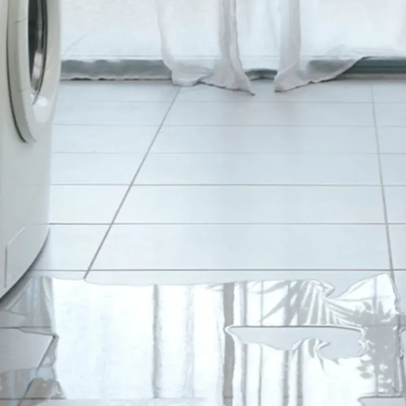 Appliance Leak Cleanup in Leonard, TX