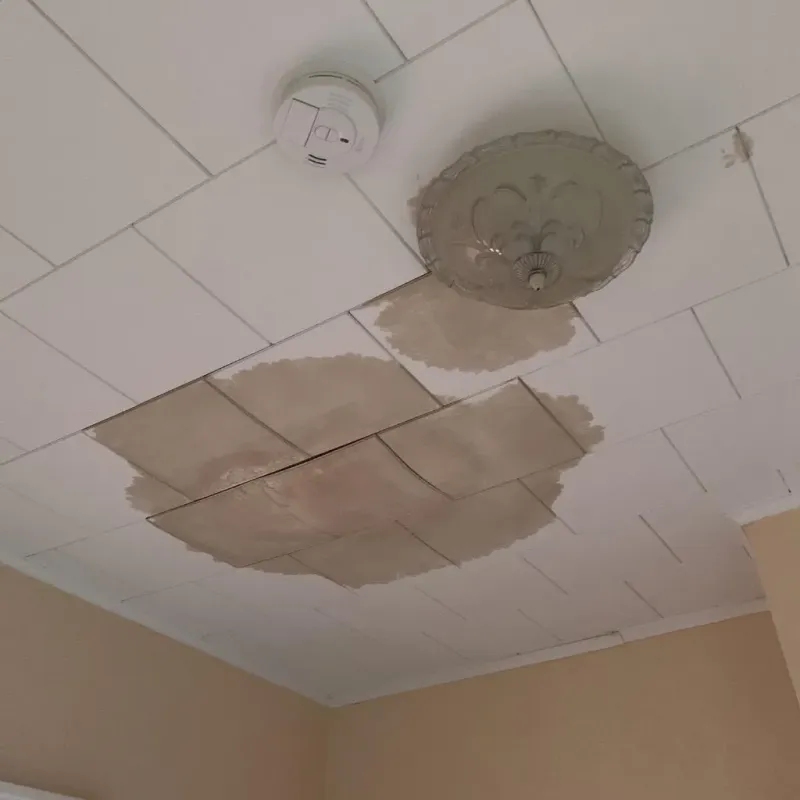 Ceiling Water Damage Repair in Leonard, TX