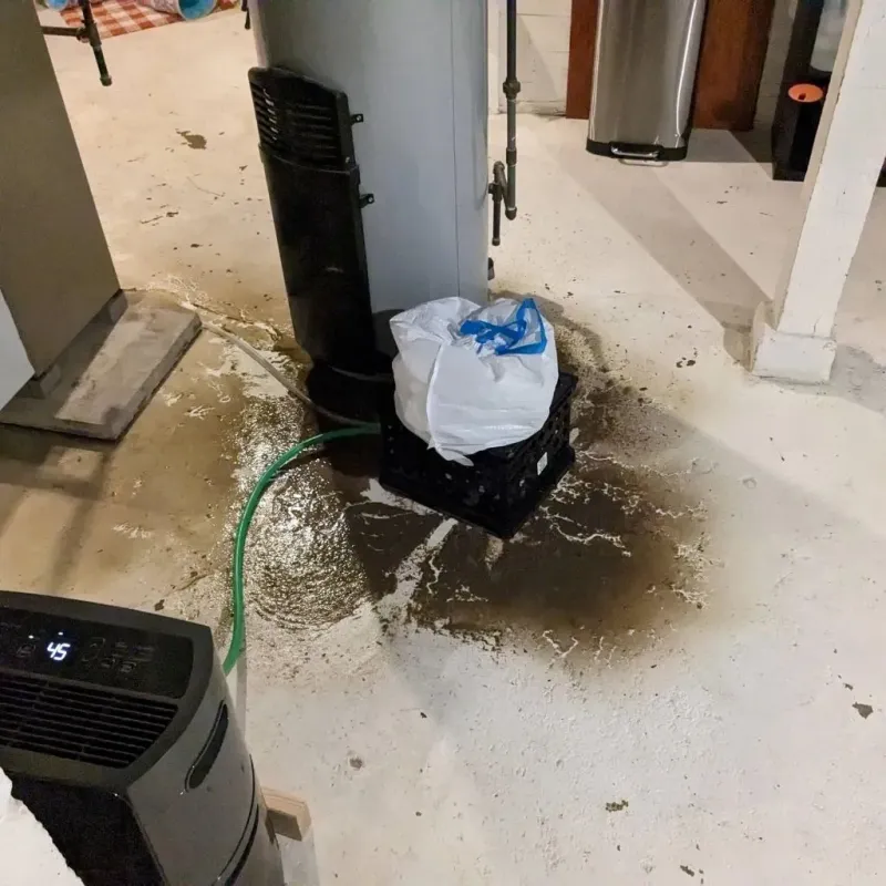 Sewage Backup Cleanup Service in Leonard, TX